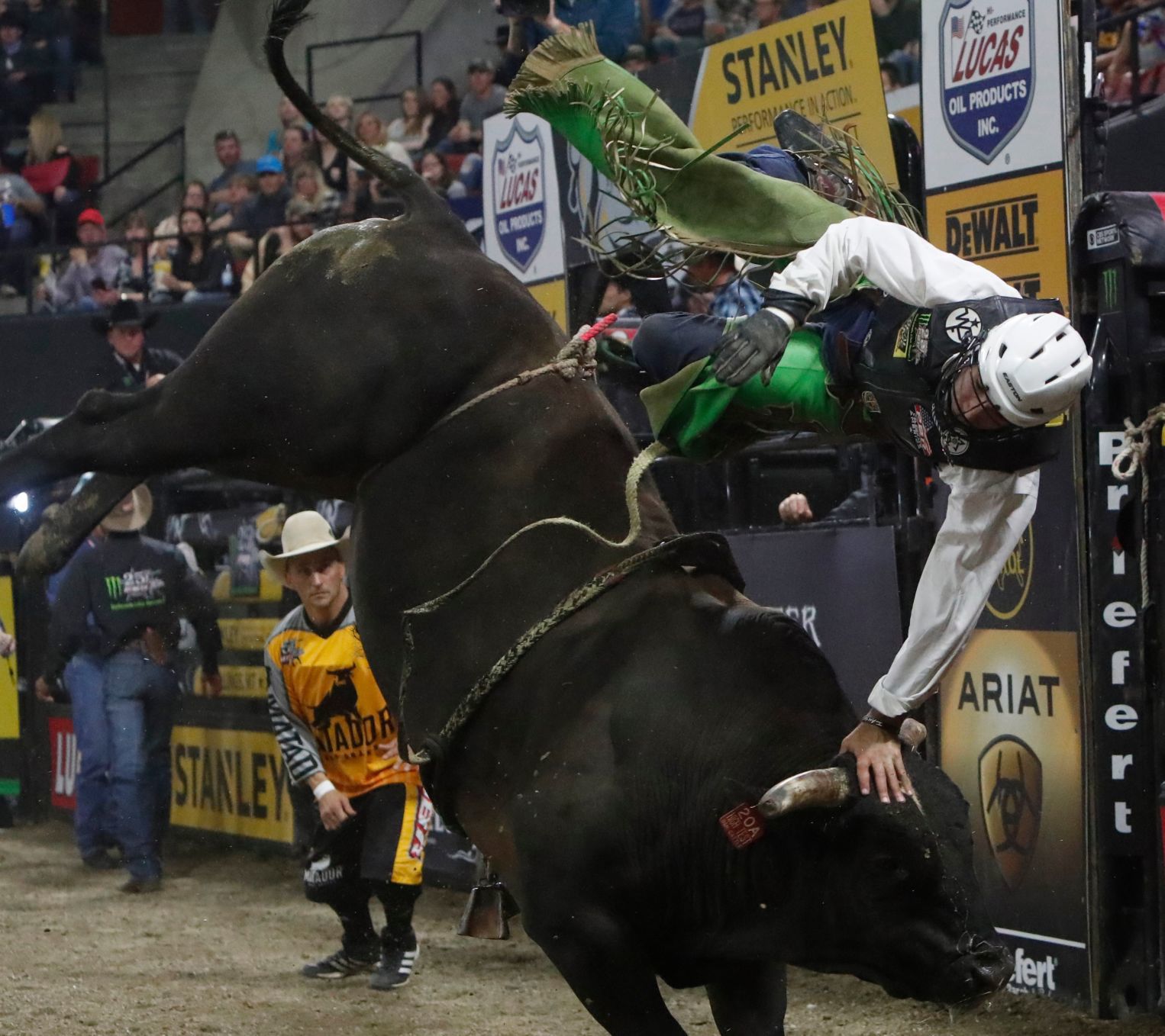 PBR: First Night